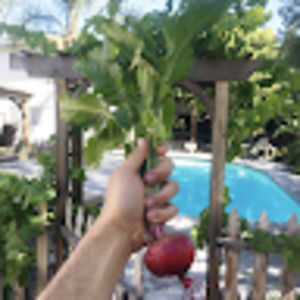 Meet your Posher, Maxx